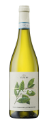 Magnum Ilauri Pinot Grigio Tavo 2023