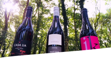 pinot_noir_4.jpg