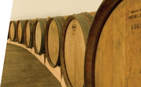 Barrels on the Wine Cellar Club Entrance