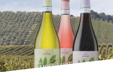 Three bottles of Ilauri wine on a background of vineyards